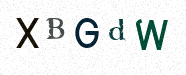 Visual Confirmation Security Code
